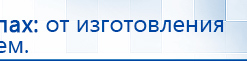 Электрод Скэнар - лицевой двойной Штампы купить в Горно-алтайске, Электроды Скэнар купить в Горно-алтайске, Скэнар официальный сайт - denasvertebra.ru